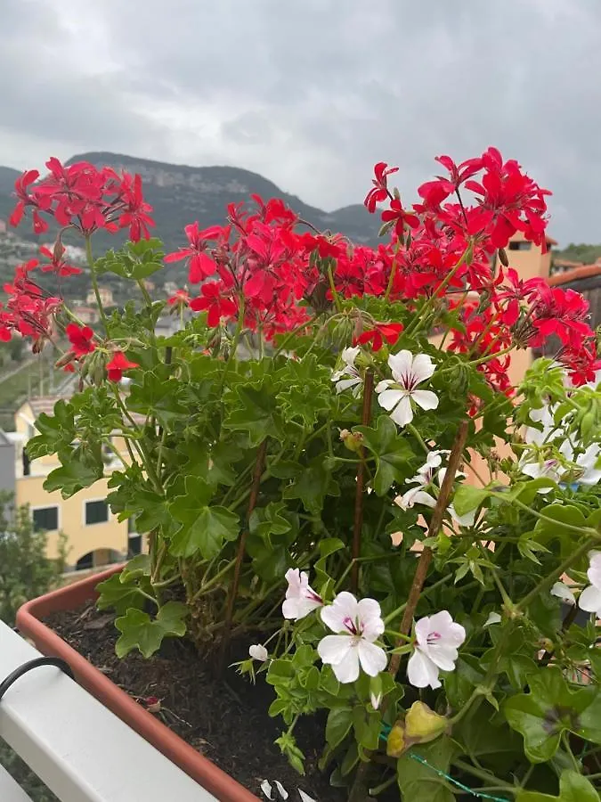 B&B La Dormeria Finale Ligure 0*,  Italy